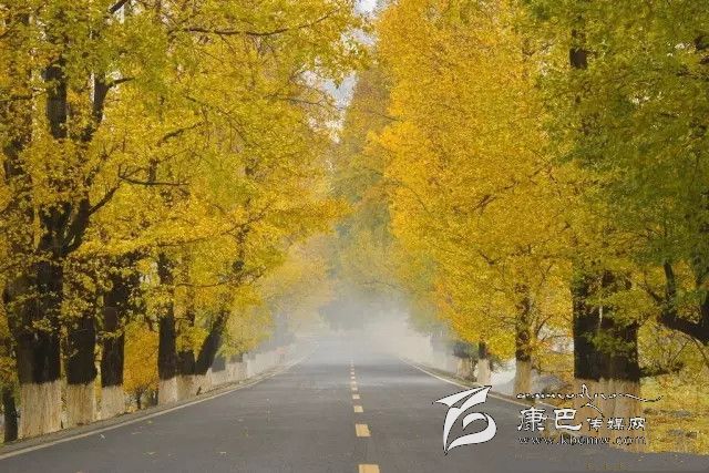 康定新都橋，有一條黃金大道通往夢中的天堂