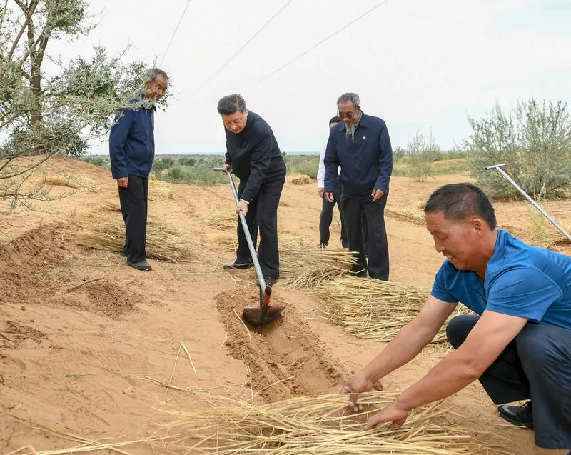 2019年8月21日，習(xí)近平來到甘肅省武威市古浪縣八步沙林場，實(shí)地察看當(dāng)?shù)刂紊吃炝?、生態(tài)保護(hù)等情況。新華社記者 謝環(huán)馳 攝