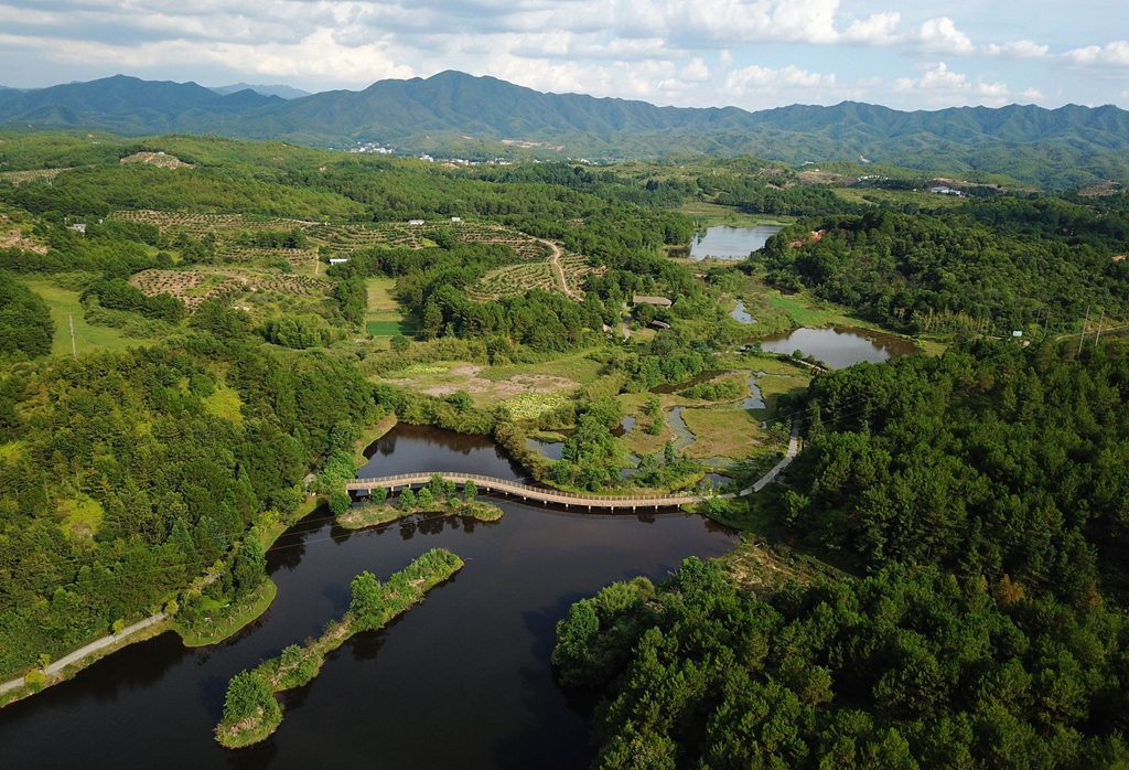 福建省龍巖市長(zhǎng)汀縣的長(zhǎng)汀汀江國(guó)家濕地公園景色（2020年7月28日攝，無(wú)人機(jī)照片）。新華社記者 魏培全 攝
