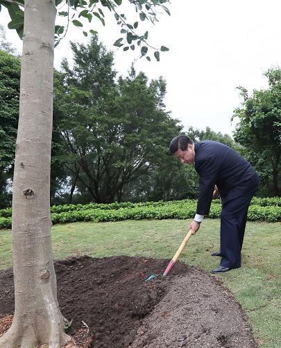 2012年12月7日至11日，習(xí)近平在廣東省考察工作。這是8日上午，習(xí)近平在深圳蓮花山公園種下一棵高山榕樹。新華社記者 蘭紅光 攝