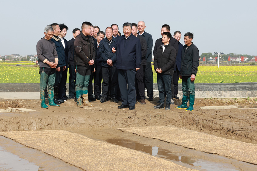 2024年3月18日至21日，中共中央總書記、國家主席、中央軍委主席習近平在湖南考察。這是19日下午，習近平在常德市鼎城區(qū)謝家鋪鎮(zhèn)港中坪村走進田間，察看秧苗培育和春耕備耕進展。新華社記者 王曄 攝